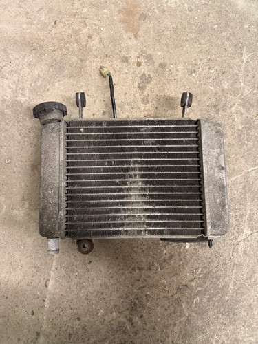 Honda cbr 125 2015 radiator - honda,